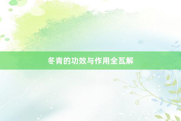 冬青的功效与作用全瓦解