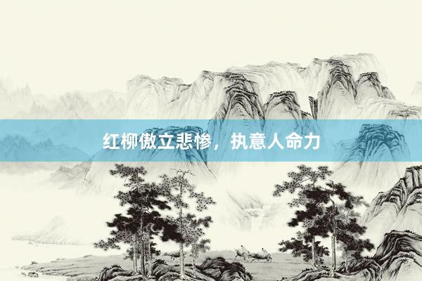 红柳傲立悲惨，执意人命力
