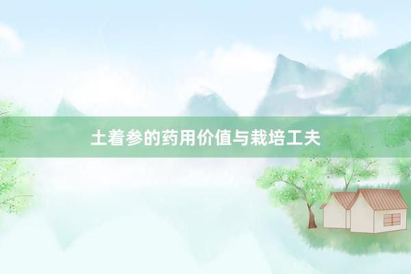 土着参的药用价值与栽培工夫