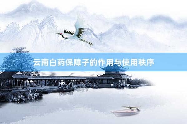 云南白药保障子的作用与使用秩序